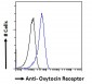 Oxytocin Receptor Antibody (internal region)